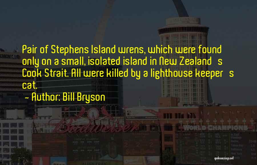 Bill Bryson Quotes: Pair Of Stephens Island Wrens, Which Were Found Only On A Small, Isolated Island In New Zealand's Cook Strait. All