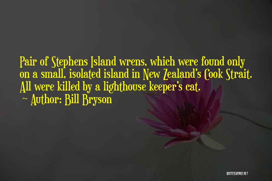 Bill Bryson Quotes: Pair Of Stephens Island Wrens, Which Were Found Only On A Small, Isolated Island In New Zealand's Cook Strait. All