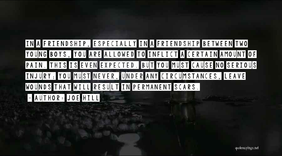 Joe Hill Quotes: In A Friendship, Especially In A Friendship Between Two Young Boys, You Are Allowed To Inflict A Certain Amount Of