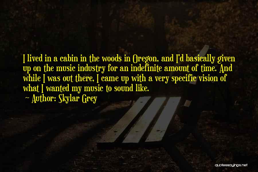 Skylar Grey Quotes: I Lived In A Cabin In The Woods In Oregon, And I'd Basically Given Up On The Music Industry For