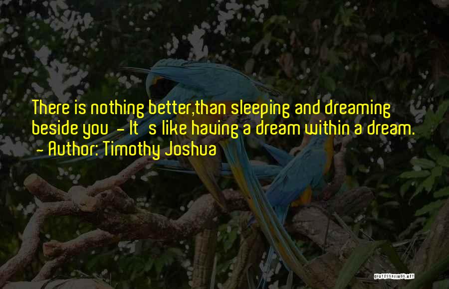 Timothy Joshua Quotes: There Is Nothing Better,than Sleeping And Dreaming Beside You - It's Like Having A Dream Within A Dream.