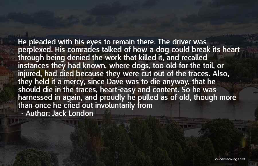 Jack London Quotes: He Pleaded With His Eyes To Remain There. The Driver Was Perplexed. His Comrades Talked Of How A Dog Could