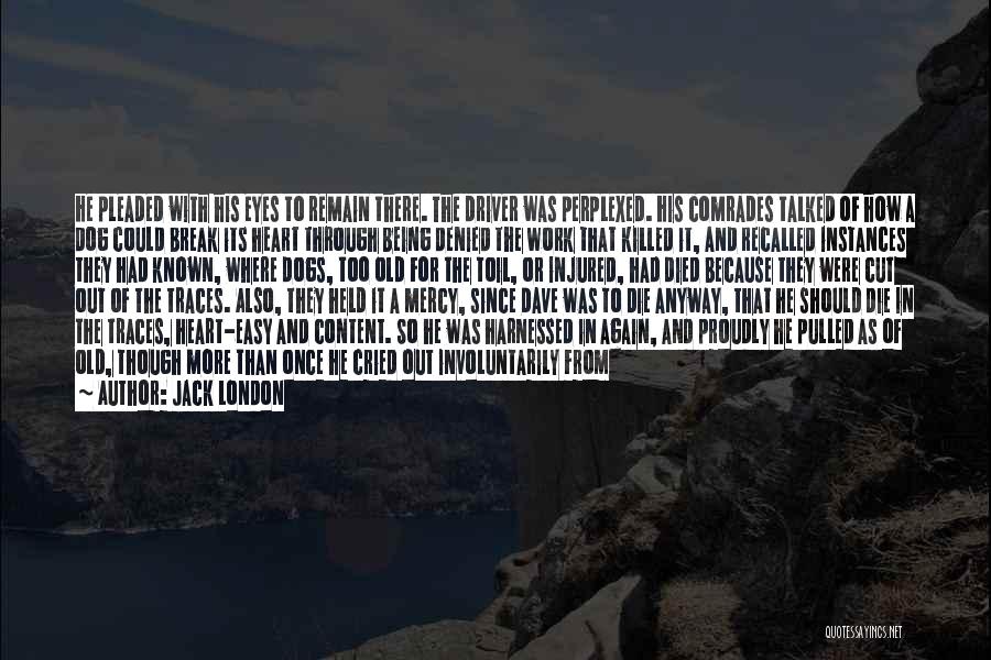 Jack London Quotes: He Pleaded With His Eyes To Remain There. The Driver Was Perplexed. His Comrades Talked Of How A Dog Could