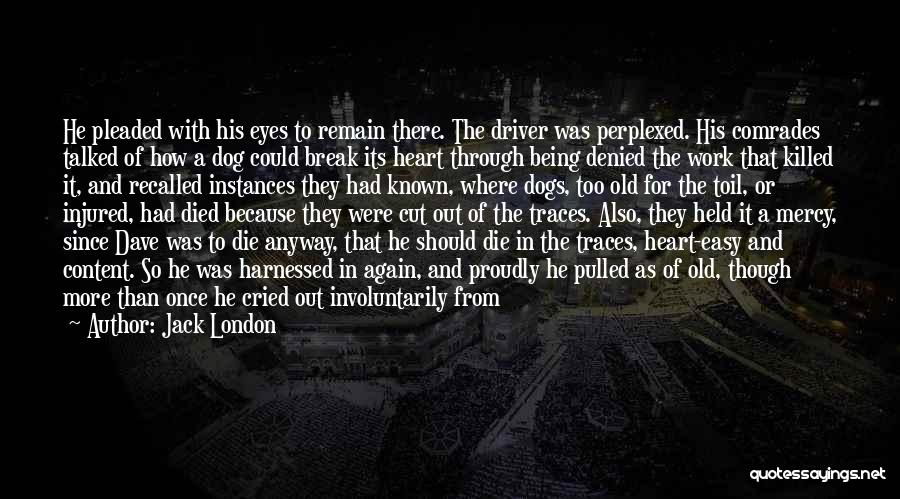 Jack London Quotes: He Pleaded With His Eyes To Remain There. The Driver Was Perplexed. His Comrades Talked Of How A Dog Could