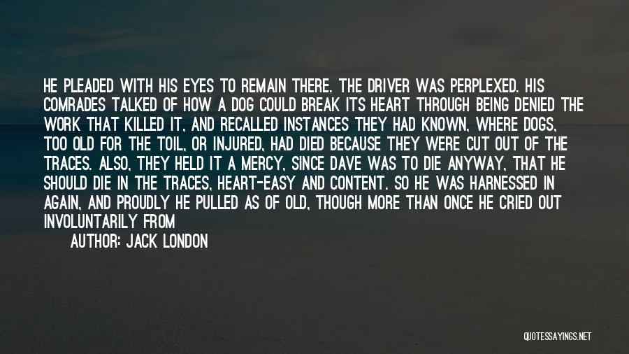 Jack London Quotes: He Pleaded With His Eyes To Remain There. The Driver Was Perplexed. His Comrades Talked Of How A Dog Could