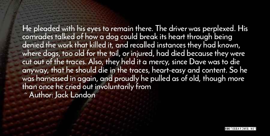 Jack London Quotes: He Pleaded With His Eyes To Remain There. The Driver Was Perplexed. His Comrades Talked Of How A Dog Could