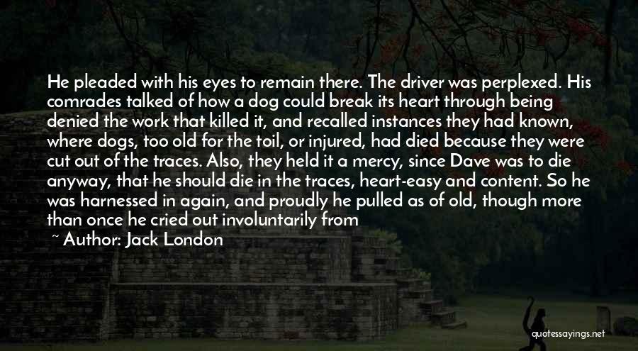 Jack London Quotes: He Pleaded With His Eyes To Remain There. The Driver Was Perplexed. His Comrades Talked Of How A Dog Could