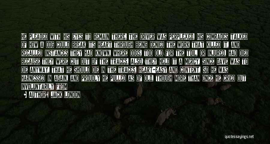 Jack London Quotes: He Pleaded With His Eyes To Remain There. The Driver Was Perplexed. His Comrades Talked Of How A Dog Could