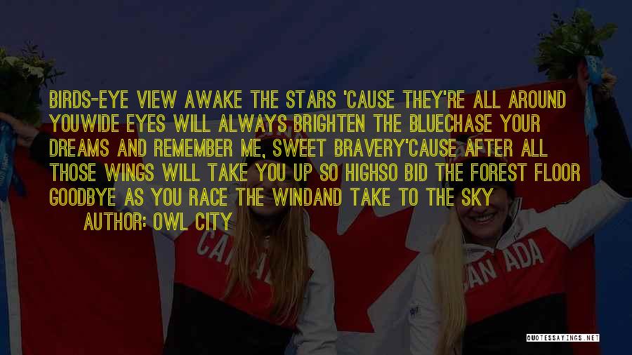 Owl City Quotes: Birds-eye View Awake The Stars 'cause They're All Around Youwide Eyes Will Always Brighten The Bluechase Your Dreams And Remember