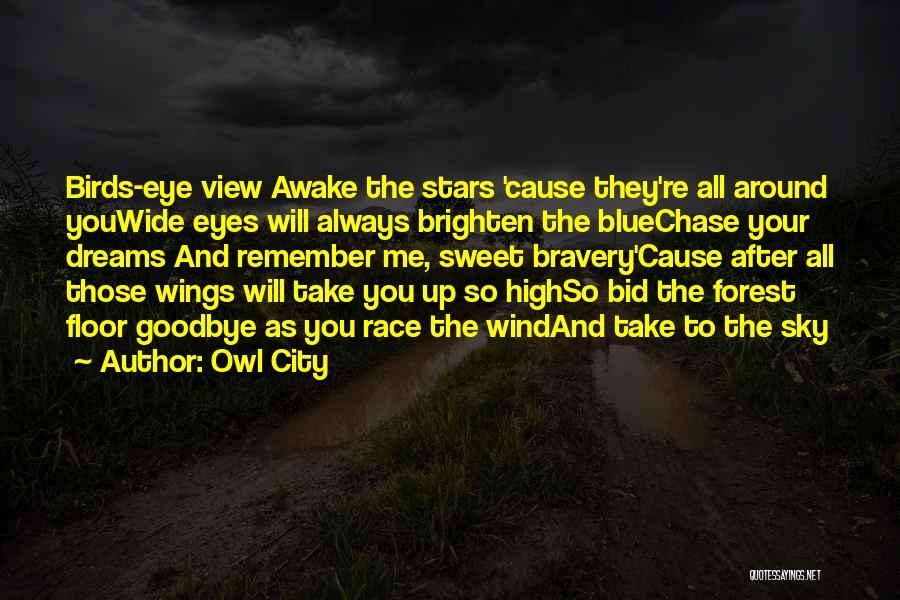 Owl City Quotes: Birds-eye View Awake The Stars 'cause They're All Around Youwide Eyes Will Always Brighten The Bluechase Your Dreams And Remember