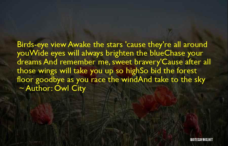 Owl City Quotes: Birds-eye View Awake The Stars 'cause They're All Around Youwide Eyes Will Always Brighten The Bluechase Your Dreams And Remember