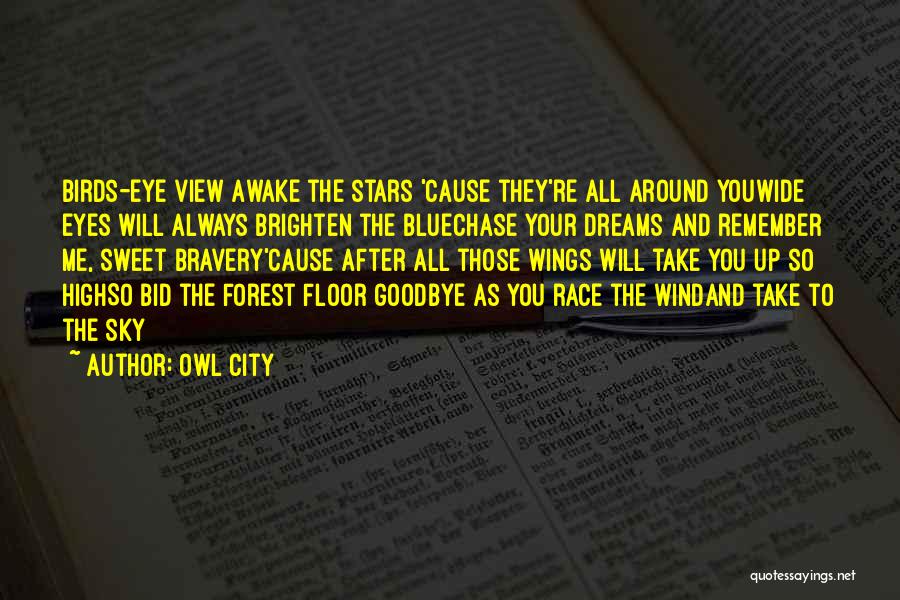 Owl City Quotes: Birds-eye View Awake The Stars 'cause They're All Around Youwide Eyes Will Always Brighten The Bluechase Your Dreams And Remember