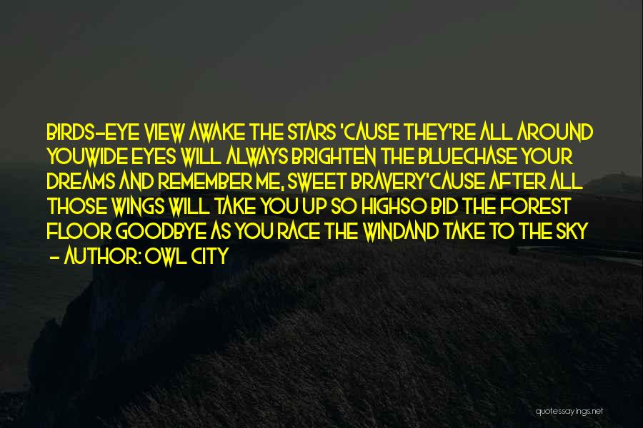 Owl City Quotes: Birds-eye View Awake The Stars 'cause They're All Around Youwide Eyes Will Always Brighten The Bluechase Your Dreams And Remember