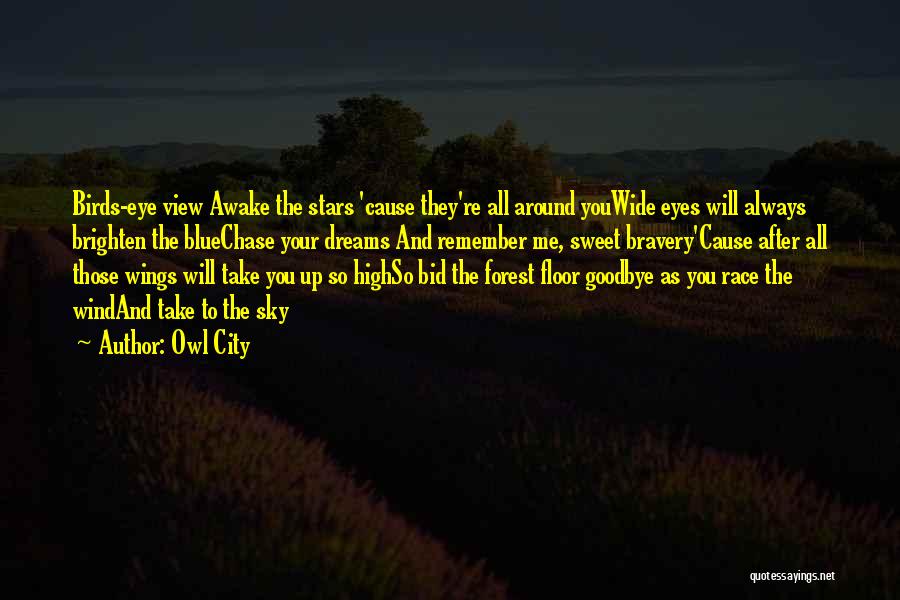 Owl City Quotes: Birds-eye View Awake The Stars 'cause They're All Around Youwide Eyes Will Always Brighten The Bluechase Your Dreams And Remember