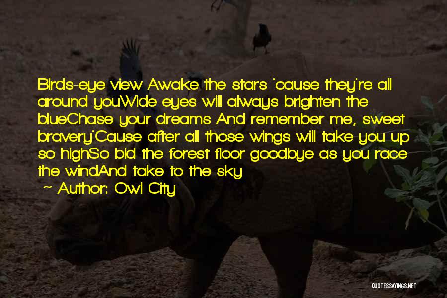 Owl City Quotes: Birds-eye View Awake The Stars 'cause They're All Around Youwide Eyes Will Always Brighten The Bluechase Your Dreams And Remember