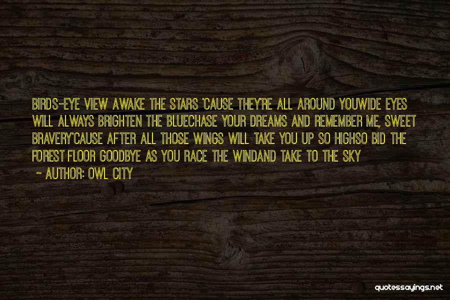 Owl City Quotes: Birds-eye View Awake The Stars 'cause They're All Around Youwide Eyes Will Always Brighten The Bluechase Your Dreams And Remember