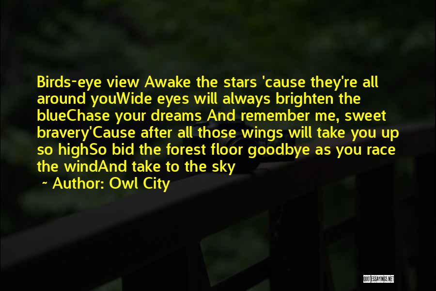 Owl City Quotes: Birds-eye View Awake The Stars 'cause They're All Around Youwide Eyes Will Always Brighten The Bluechase Your Dreams And Remember