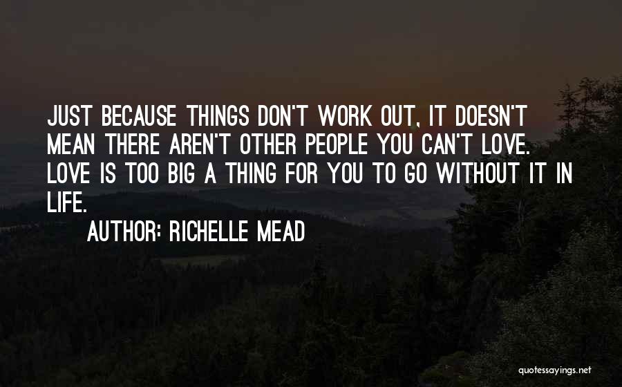 Richelle Mead Quotes: Just Because Things Don't Work Out, It Doesn't Mean There Aren't Other People You Can't Love. Love Is Too Big