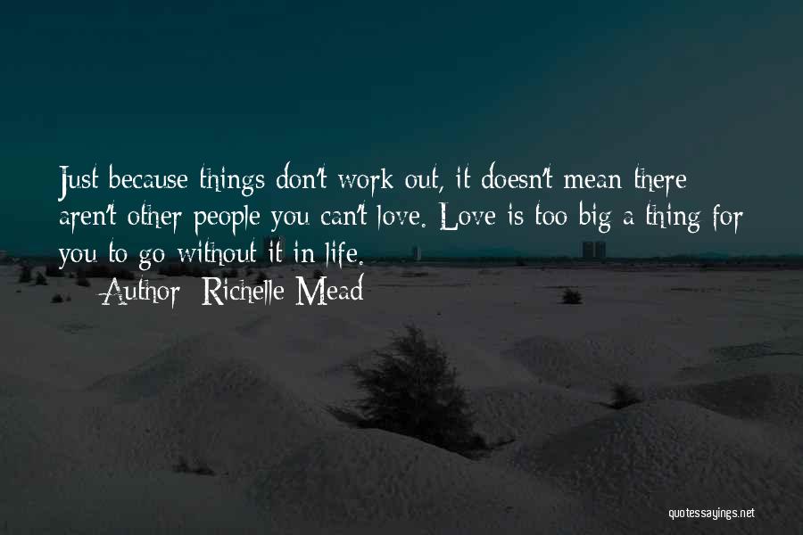 Richelle Mead Quotes: Just Because Things Don't Work Out, It Doesn't Mean There Aren't Other People You Can't Love. Love Is Too Big