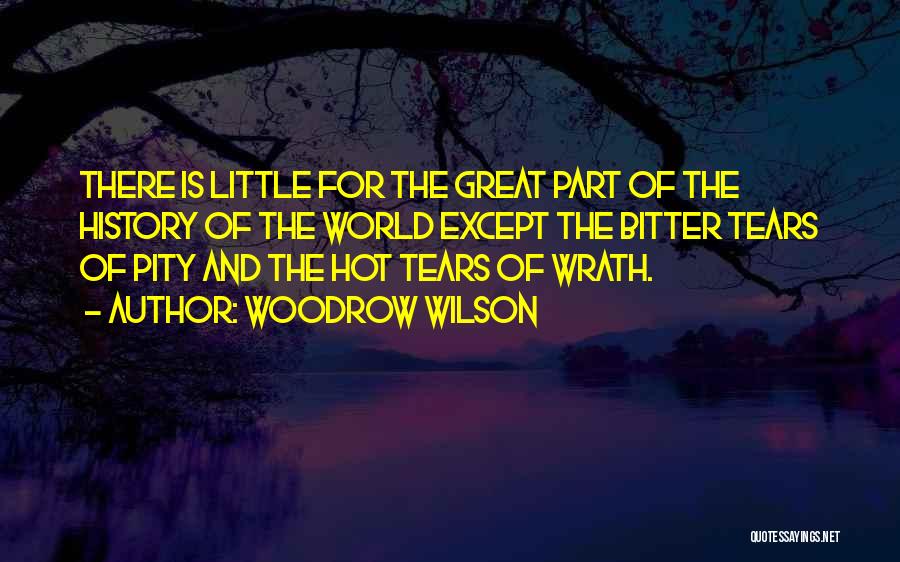 Woodrow Wilson Quotes: There Is Little For The Great Part Of The History Of The World Except The Bitter Tears Of Pity And