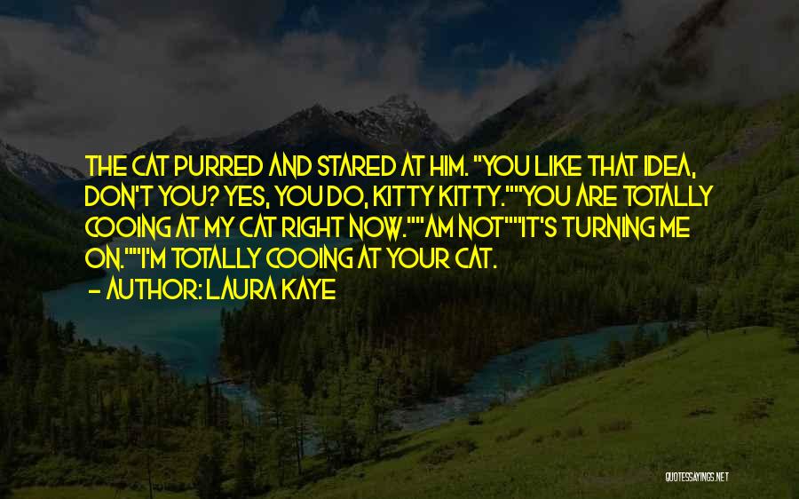 Laura Kaye Quotes: The Cat Purred And Stared At Him. You Like That Idea, Don't You? Yes, You Do, Kitty Kitty.you Are Totally