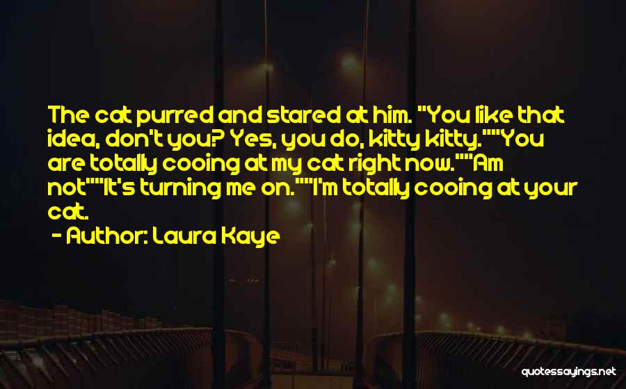 Laura Kaye Quotes: The Cat Purred And Stared At Him. You Like That Idea, Don't You? Yes, You Do, Kitty Kitty.you Are Totally