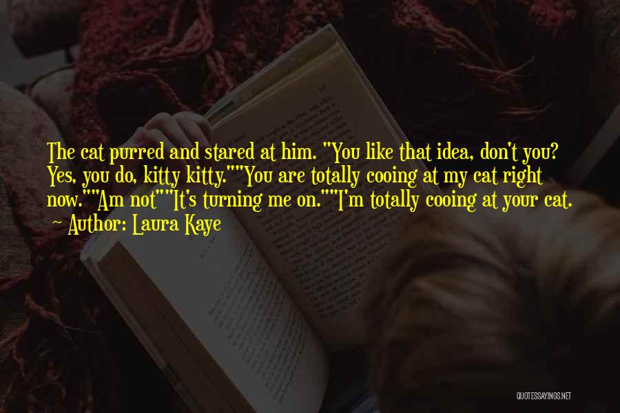 Laura Kaye Quotes: The Cat Purred And Stared At Him. You Like That Idea, Don't You? Yes, You Do, Kitty Kitty.you Are Totally