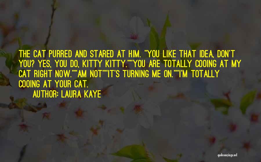 Laura Kaye Quotes: The Cat Purred And Stared At Him. You Like That Idea, Don't You? Yes, You Do, Kitty Kitty.you Are Totally