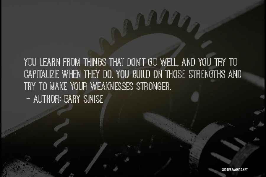 Gary Sinise Quotes: You Learn From Things That Don't Go Well, And You Try To Capitalize When They Do. You Build On Those