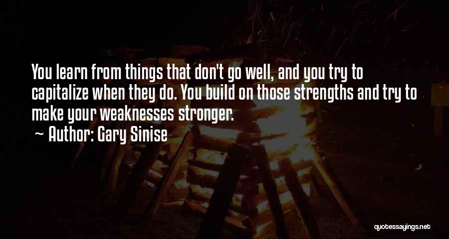 Gary Sinise Quotes: You Learn From Things That Don't Go Well, And You Try To Capitalize When They Do. You Build On Those