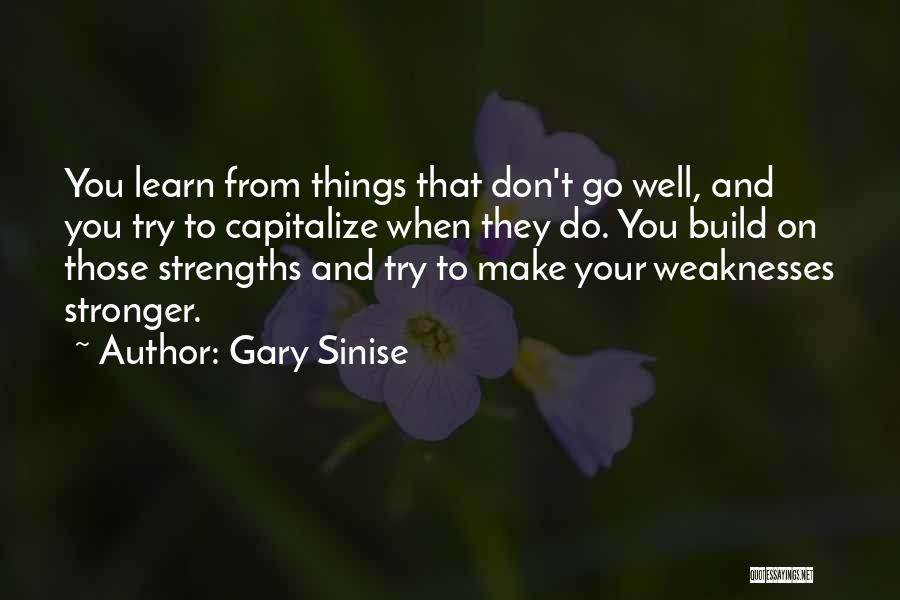 Gary Sinise Quotes: You Learn From Things That Don't Go Well, And You Try To Capitalize When They Do. You Build On Those
