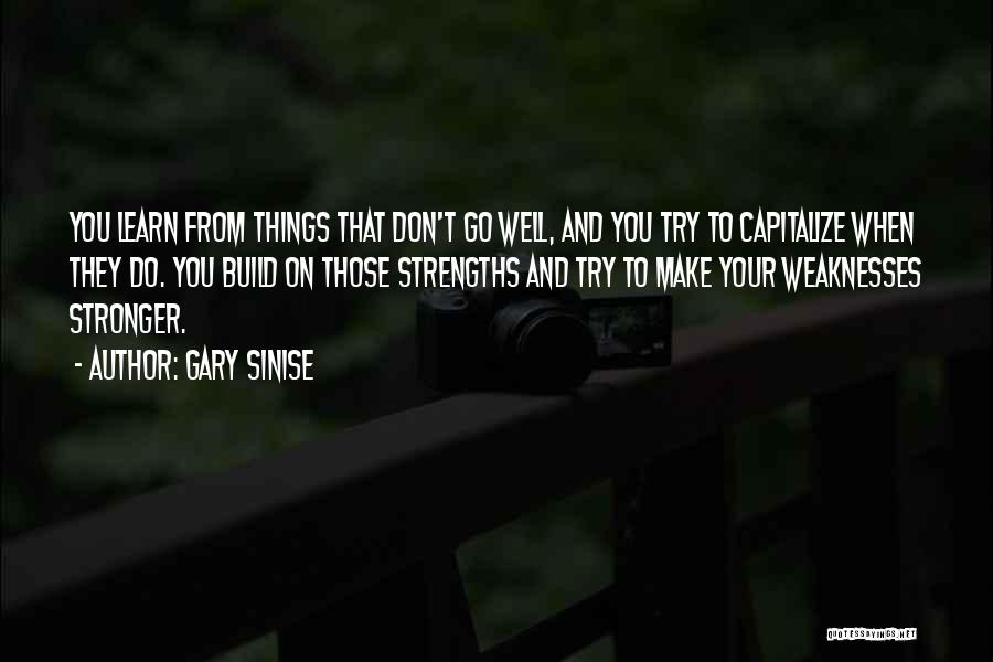 Gary Sinise Quotes: You Learn From Things That Don't Go Well, And You Try To Capitalize When They Do. You Build On Those