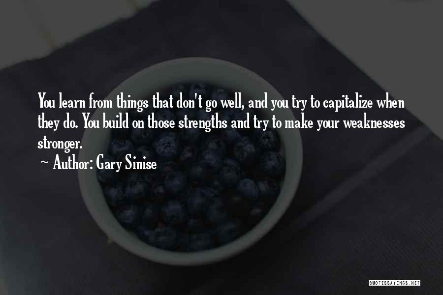 Gary Sinise Quotes: You Learn From Things That Don't Go Well, And You Try To Capitalize When They Do. You Build On Those