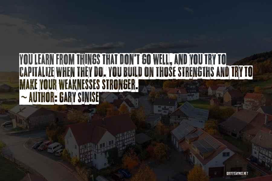 Gary Sinise Quotes: You Learn From Things That Don't Go Well, And You Try To Capitalize When They Do. You Build On Those