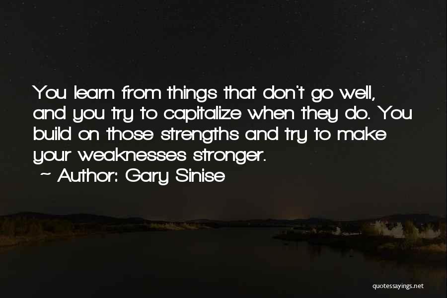 Gary Sinise Quotes: You Learn From Things That Don't Go Well, And You Try To Capitalize When They Do. You Build On Those