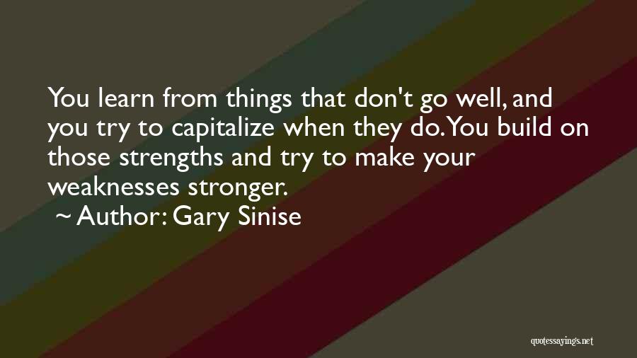 Gary Sinise Quotes: You Learn From Things That Don't Go Well, And You Try To Capitalize When They Do. You Build On Those