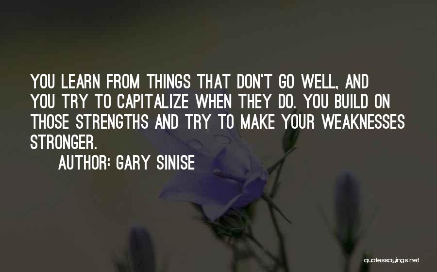Gary Sinise Quotes: You Learn From Things That Don't Go Well, And You Try To Capitalize When They Do. You Build On Those