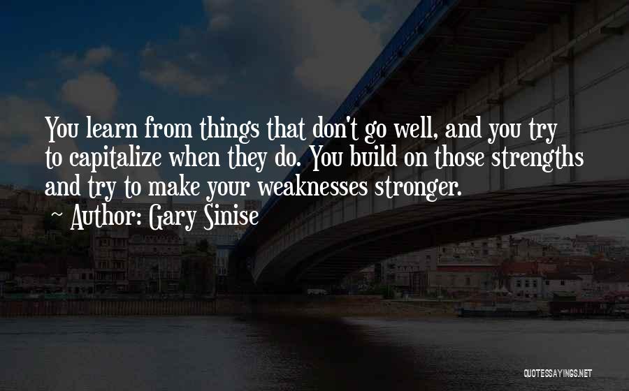 Gary Sinise Quotes: You Learn From Things That Don't Go Well, And You Try To Capitalize When They Do. You Build On Those