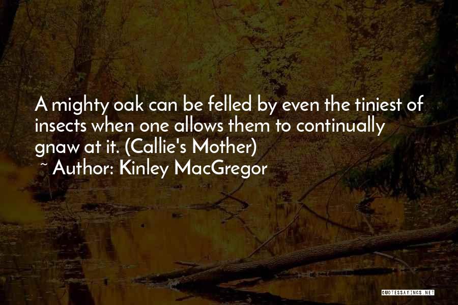 Kinley MacGregor Quotes: A Mighty Oak Can Be Felled By Even The Tiniest Of Insects When One Allows Them To Continually Gnaw At