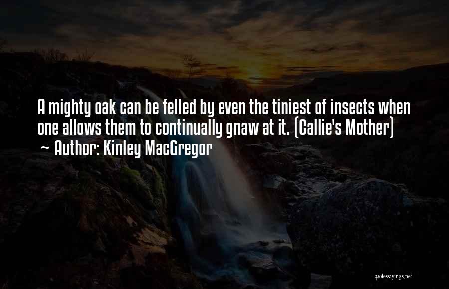 Kinley MacGregor Quotes: A Mighty Oak Can Be Felled By Even The Tiniest Of Insects When One Allows Them To Continually Gnaw At