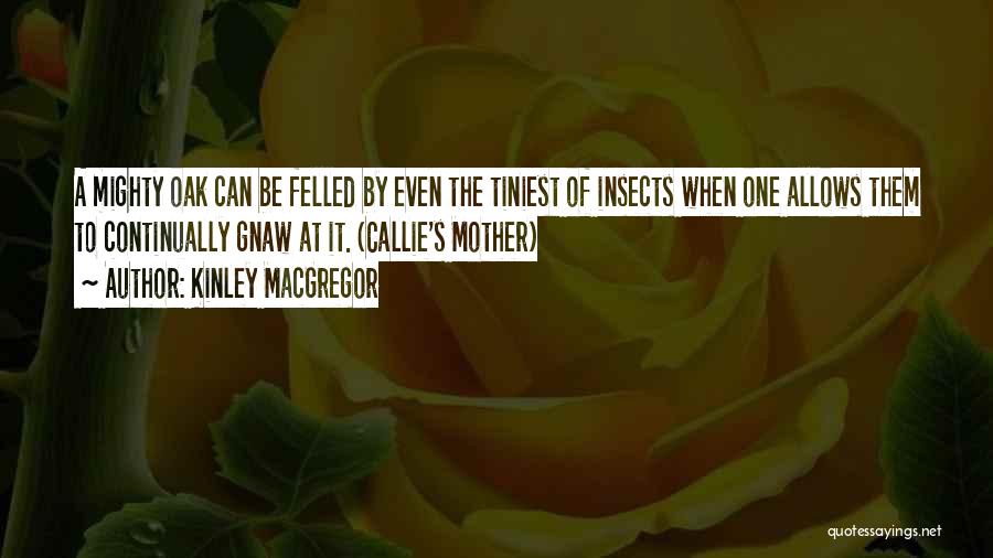 Kinley MacGregor Quotes: A Mighty Oak Can Be Felled By Even The Tiniest Of Insects When One Allows Them To Continually Gnaw At
