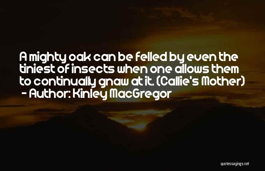 Kinley MacGregor Quotes: A Mighty Oak Can Be Felled By Even The Tiniest Of Insects When One Allows Them To Continually Gnaw At