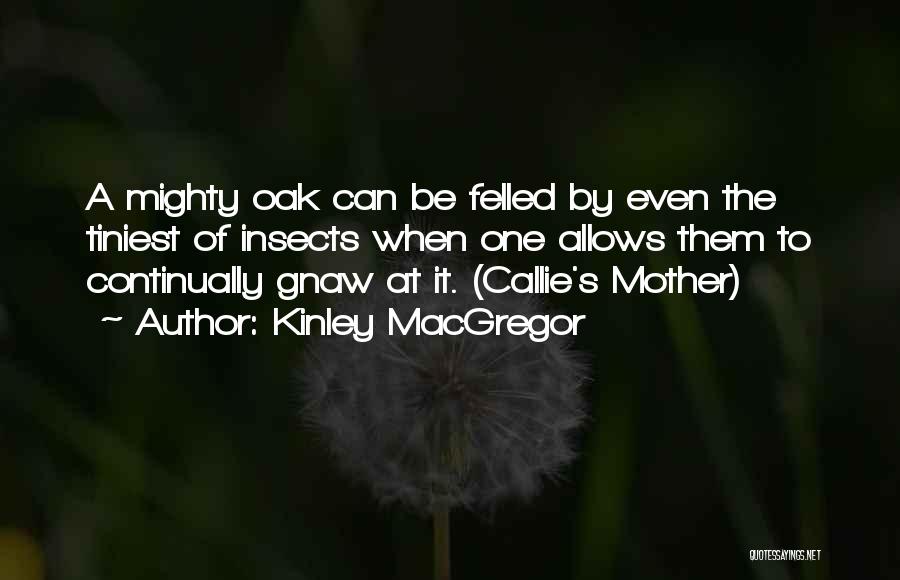 Kinley MacGregor Quotes: A Mighty Oak Can Be Felled By Even The Tiniest Of Insects When One Allows Them To Continually Gnaw At
