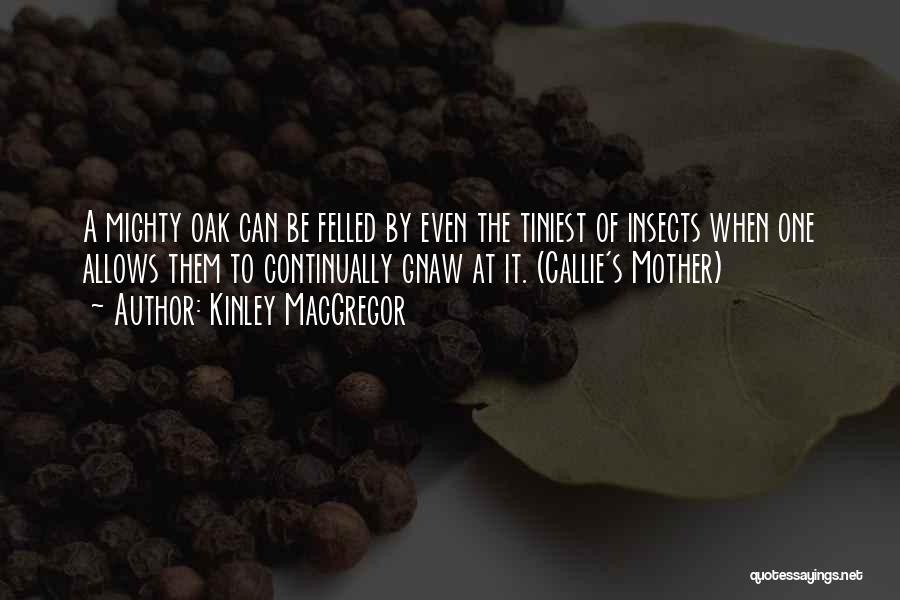 Kinley MacGregor Quotes: A Mighty Oak Can Be Felled By Even The Tiniest Of Insects When One Allows Them To Continually Gnaw At
