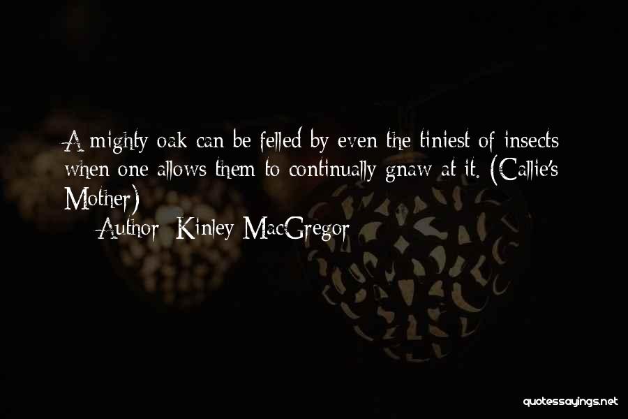 Kinley MacGregor Quotes: A Mighty Oak Can Be Felled By Even The Tiniest Of Insects When One Allows Them To Continually Gnaw At