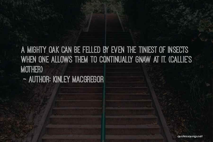Kinley MacGregor Quotes: A Mighty Oak Can Be Felled By Even The Tiniest Of Insects When One Allows Them To Continually Gnaw At