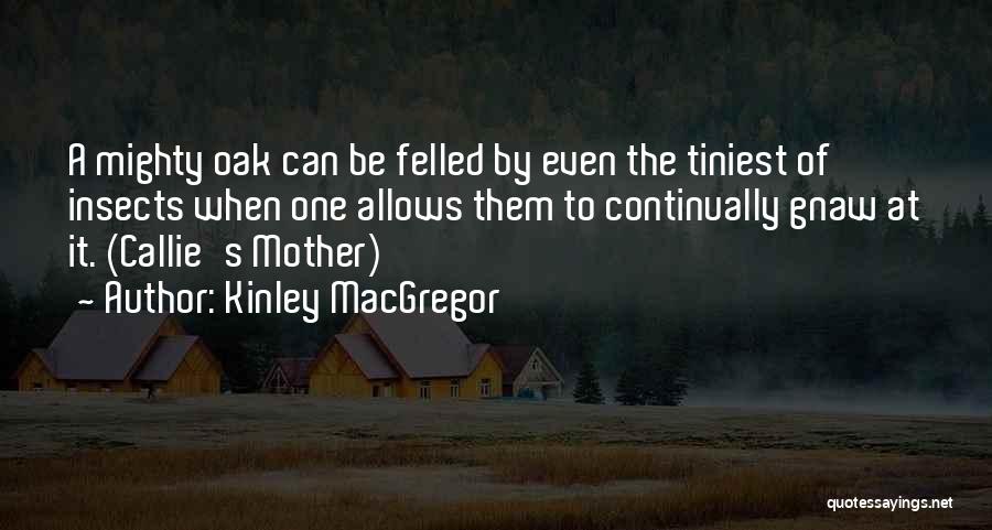 Kinley MacGregor Quotes: A Mighty Oak Can Be Felled By Even The Tiniest Of Insects When One Allows Them To Continually Gnaw At