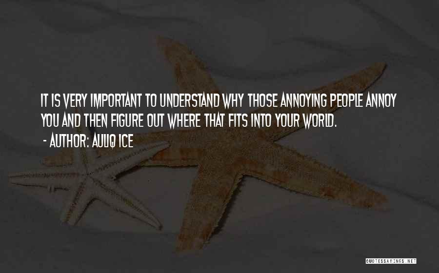 Auliq Ice Quotes: It Is Very Important To Understand Why Those Annoying People Annoy You And Then Figure Out Where That Fits Into