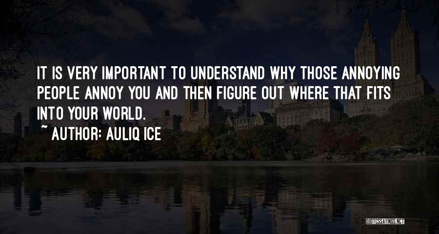 Auliq Ice Quotes: It Is Very Important To Understand Why Those Annoying People Annoy You And Then Figure Out Where That Fits Into