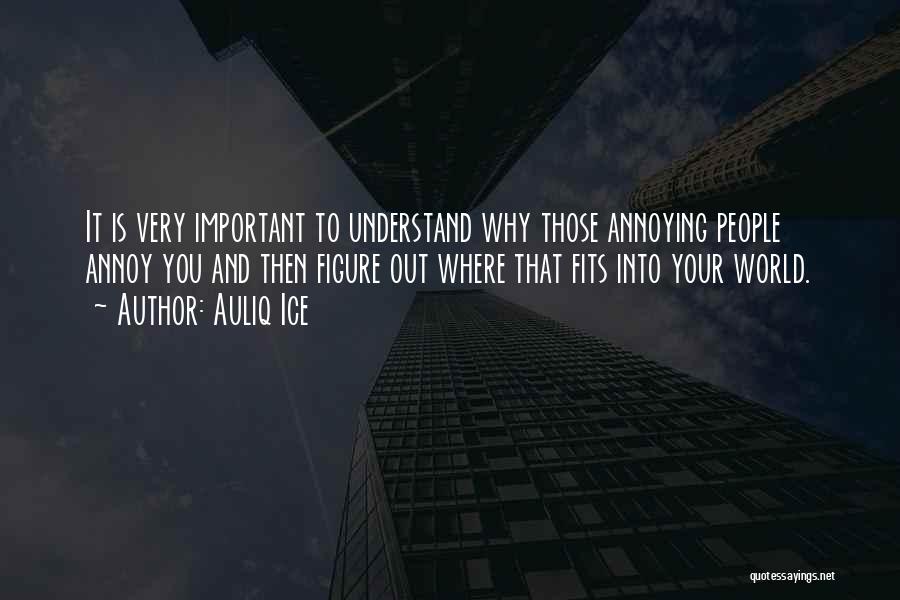 Auliq Ice Quotes: It Is Very Important To Understand Why Those Annoying People Annoy You And Then Figure Out Where That Fits Into